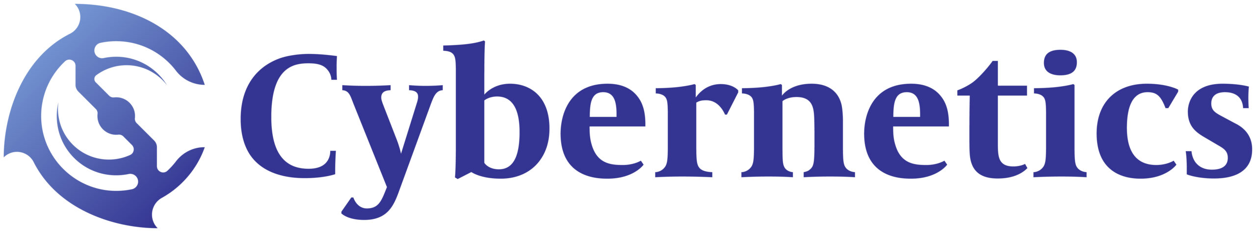 株式会社サイバネティックス